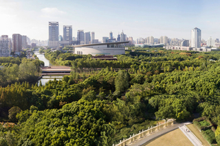 Shanghai skyline from above an urban park